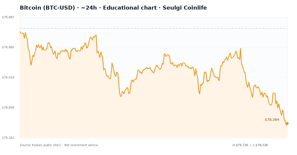 비트코인 최근 24시간 USD 가격 추세 차트 — 슬기로운 코인라이프 교육용 차트 분석