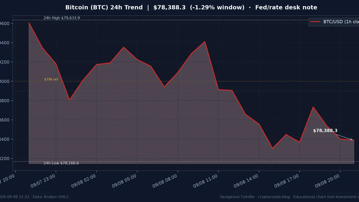 비트코인(BTC) 최근 24시간 USD 추세 — 금리·시황 교육용 차트