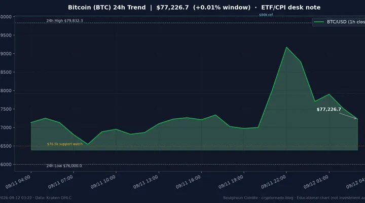 비트코인(BTC) 최근 24시간 USD 추세 — ETF 유출·CPI 청산 파동 후 $76.5k 지지 점검 시황·전망 차트