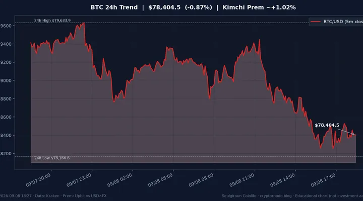 비트코인(BTC) 최근 24시간 USD 추세와 김치프리미엄 참고 — 슬기로운 코인라이프 시황·전망
