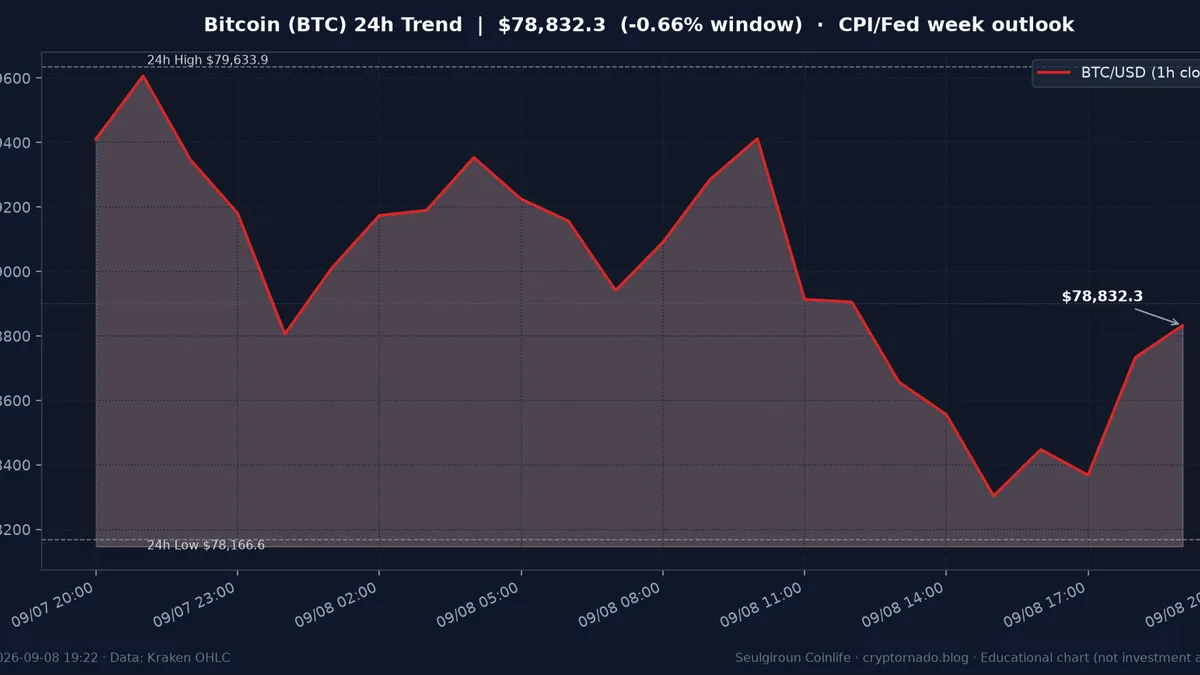 비트코인(BTC) 최근 24시간 USD 추세 — CPI·연준 주간 오늘 시장 한줄 전망 차트