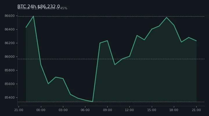 비트코인(BTC) 최근 24시간 USD 추세 — $86,232.0·창 -0.23%·김치 -2.45%·고 $86,733.9·저 $85,100.0