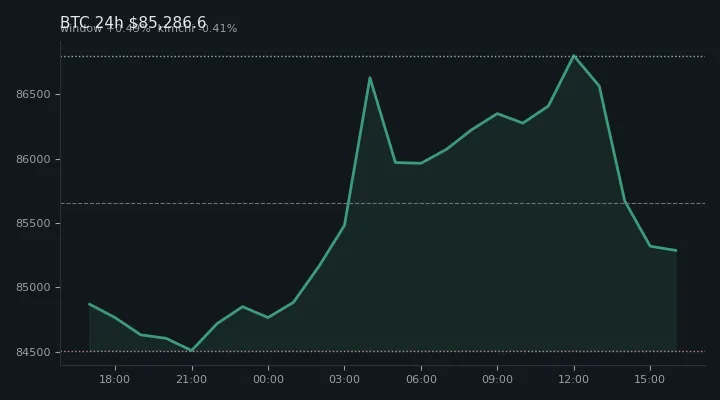 비트코인(BTC) 최근 24시간 USD 추세 — $85,286.6·창 +0.49%·김치 -0.41%·고 $87,229.0·저 $84,155.0