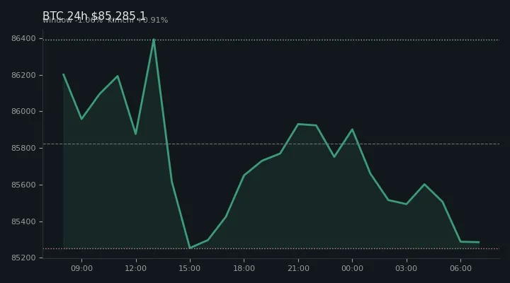 비트코인(BTC) 최근 24시간 USD 추세 — $85,285.1·창 -1.06%·김치 +0.91%·고 $86,701.8·저 $84,965.7
