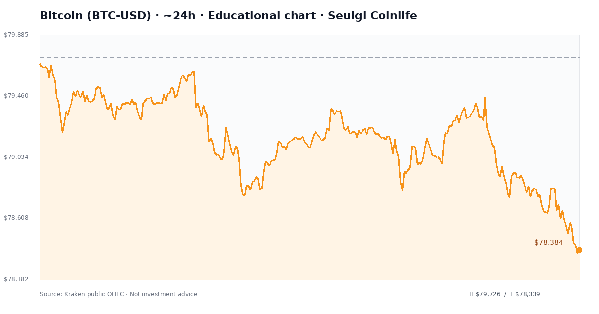 비트코인 최근 24시간 USD 가격 추세 차트 — 슬기로운 코인라이프 교육용 차트 분석