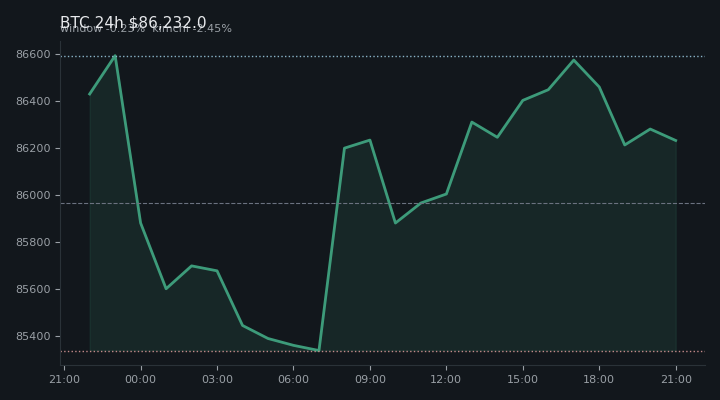 비트코인(BTC) 최근 24시간 USD 추세 — $86,232.0·창 -0.23%·김치 -2.45%·고 $86,733.9·저 $85,100.0