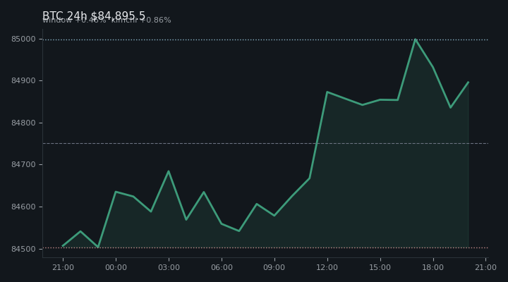 비트코인(BTC) 최근 24시간 USD 추세 — $84,895.5·창 +0.46%·김치 +0.86%·고 $85,025.9·저 $84,404.4